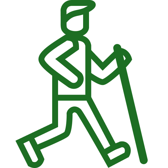 Скандинавская ходьба